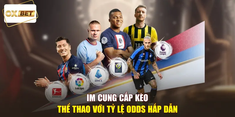 IM cung cấp kèo thể thao với tỷ lệ Odds hấp dẫn